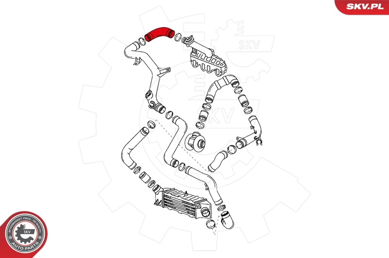 Charge Air Hose 24SKV086