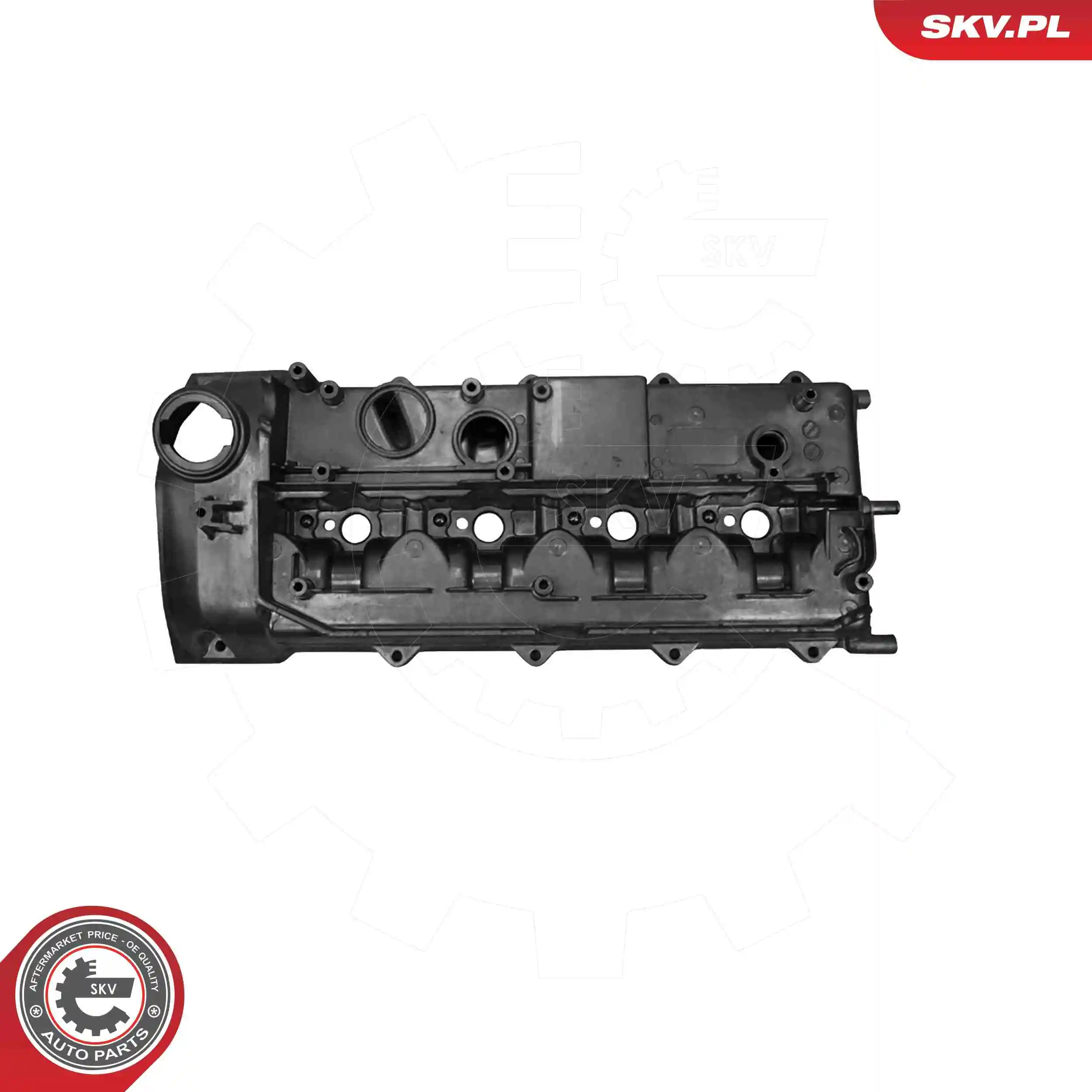 Cylinder Head Cover 48SKV172