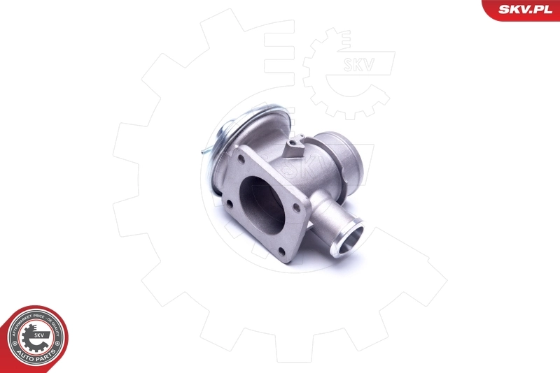 EGR Valve 14SKV179