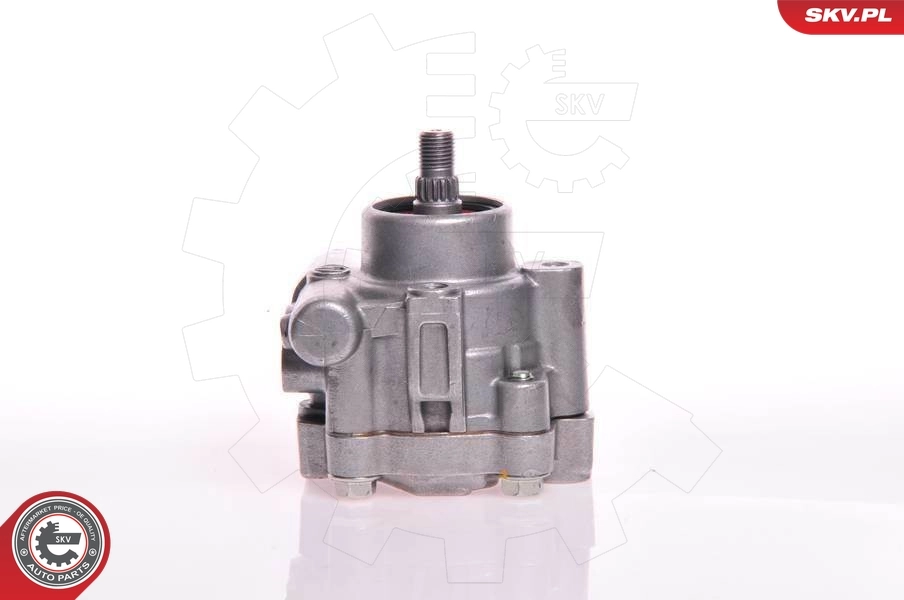 Hydraulic Pump, steering 10SKV132