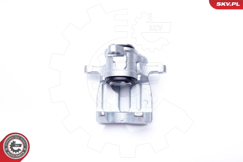 Brake Caliper 34SKV764