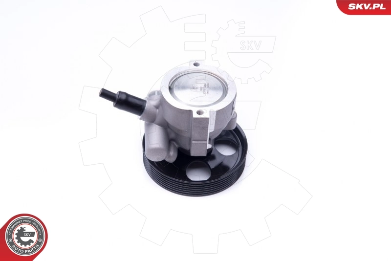 Hydraulic Pump, steering 10SKV281