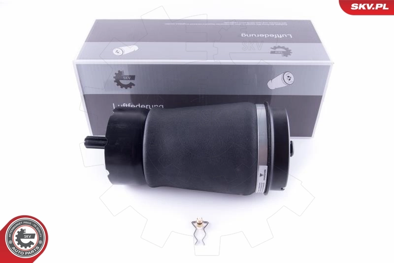 Air Spring, suspension 58SKV013