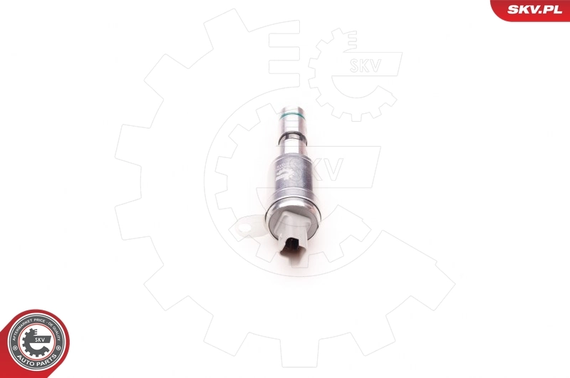 Control Valve, camshaft adjustment 39SKV007