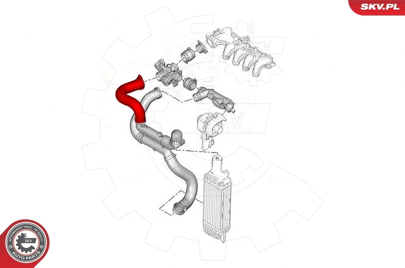 Charge Air Hose 24SKV554