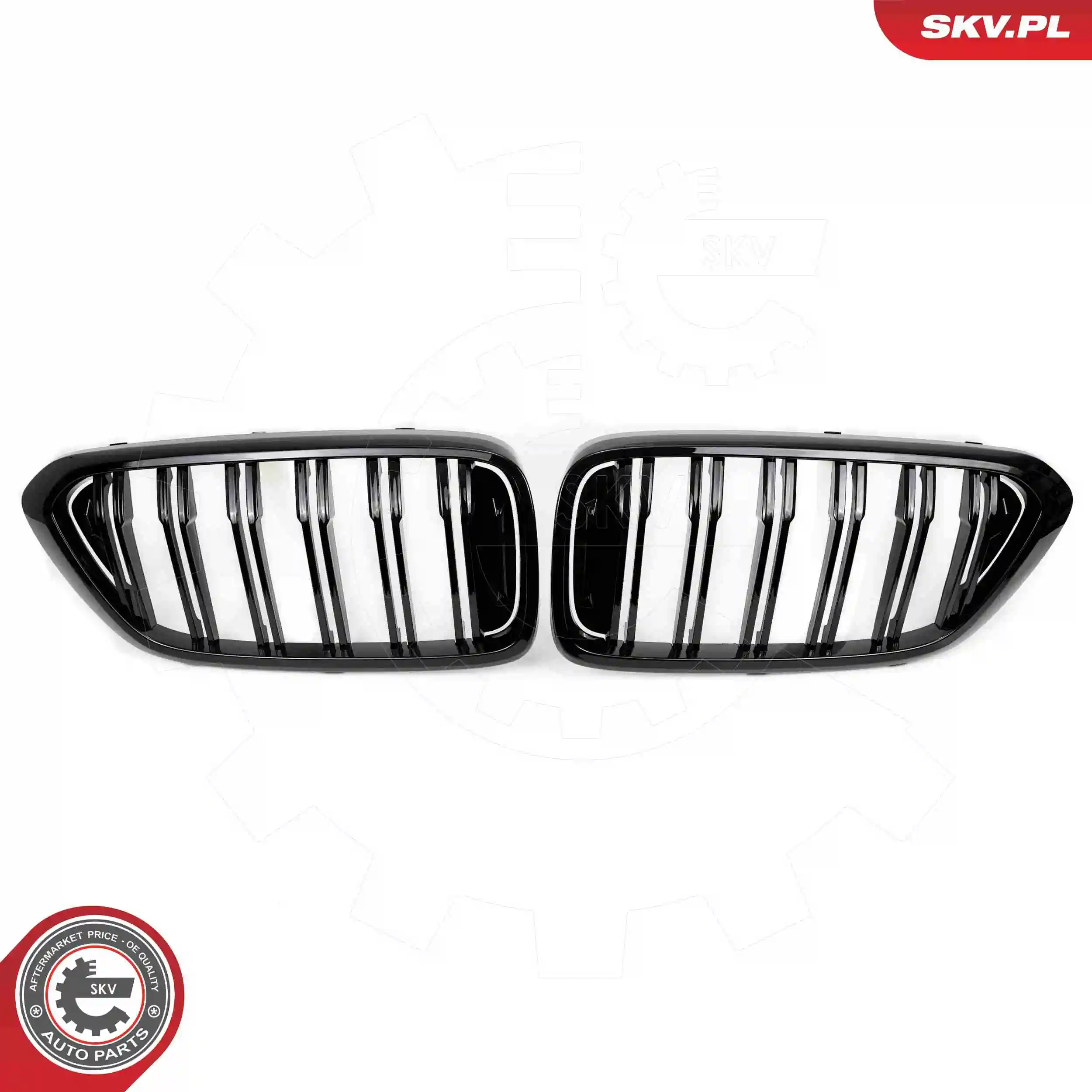 ESEN SKV 66SKV210 Radiator Grille