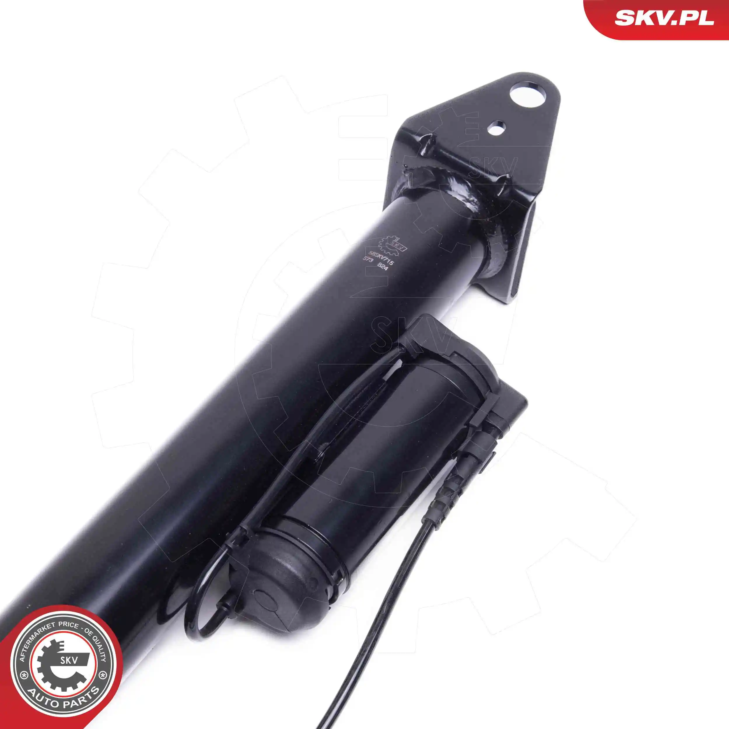 Air Suspension Strut 58SKV715