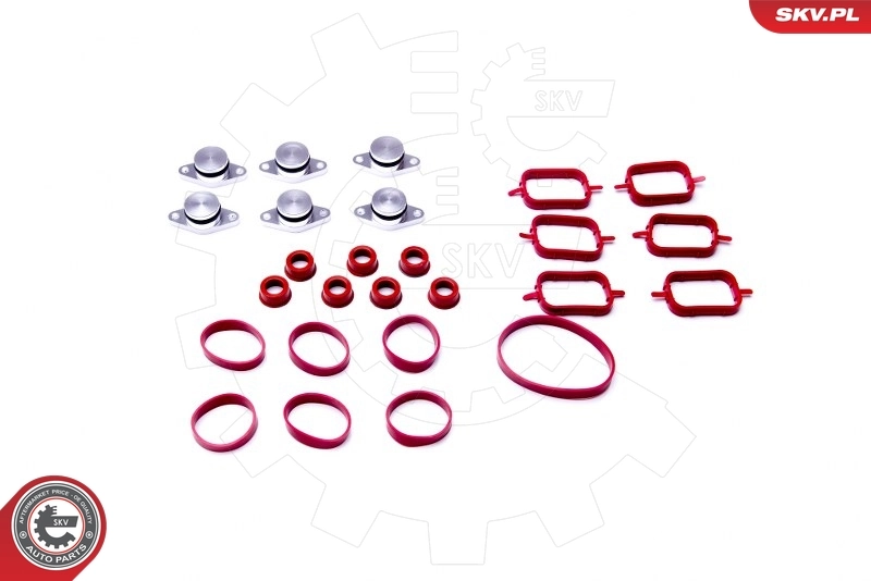 Gasket Set, intake manifold 96SKV052
