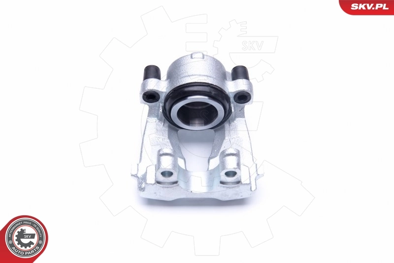 Brake Caliper 44SKV472