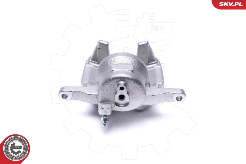 Brake Caliper 44SKV532