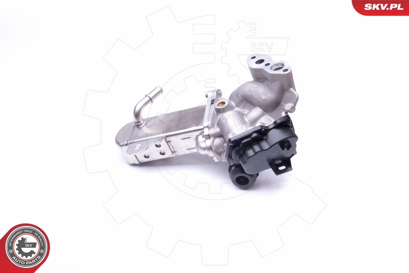 EGR Valve 14SKV157