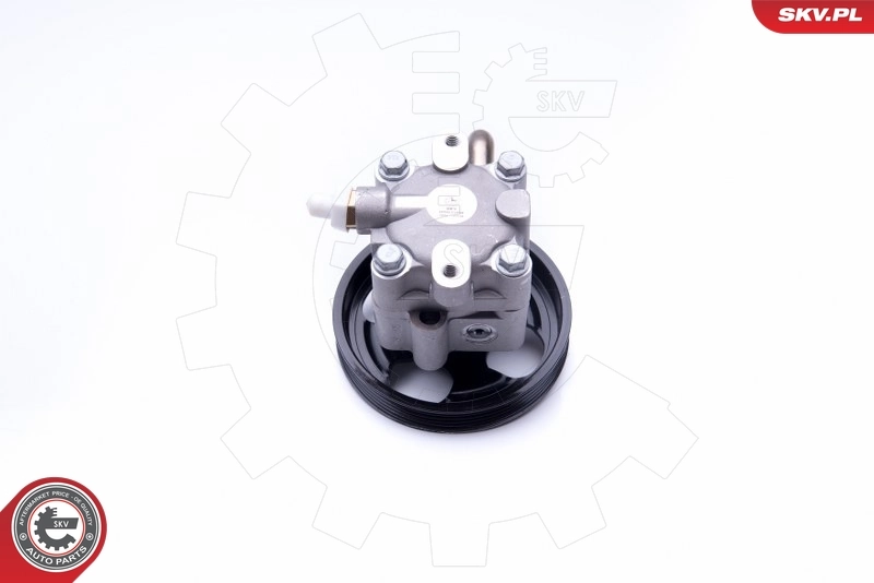 Hydraulic Pump, steering 10SKV268