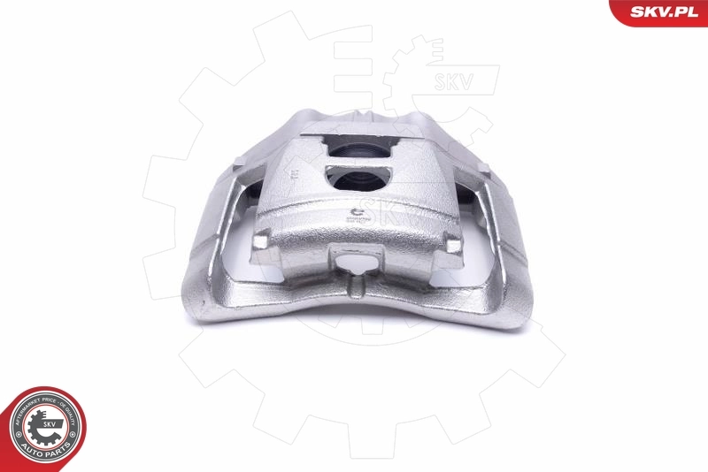 Brake Caliper 55SKV792