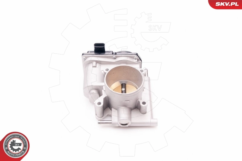ESEN SKV 12SKV070 Throttle Body