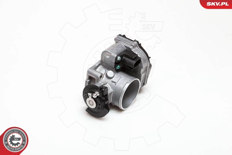 Throttle Body 12SKV007