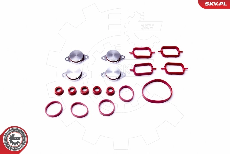 Gasket Set, intake manifold 96SKV053