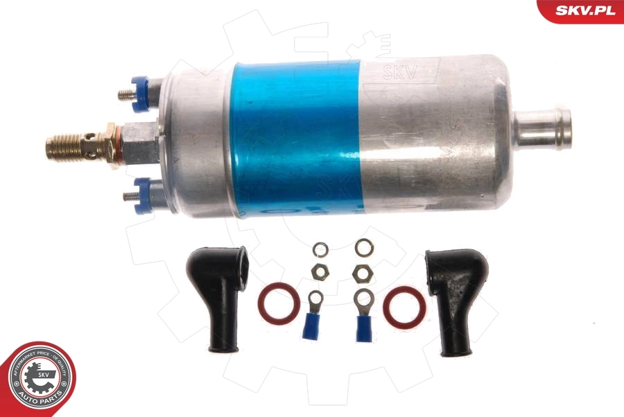Fuel Pump 02SKV009