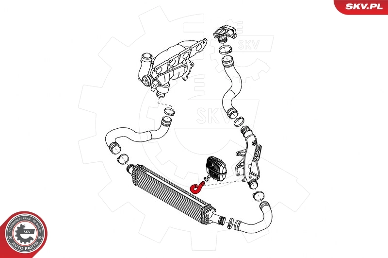 Charge Air Hose 43SKV115