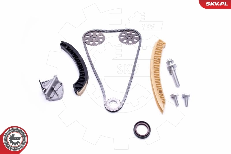 Timing Chain Kit 21SKV177