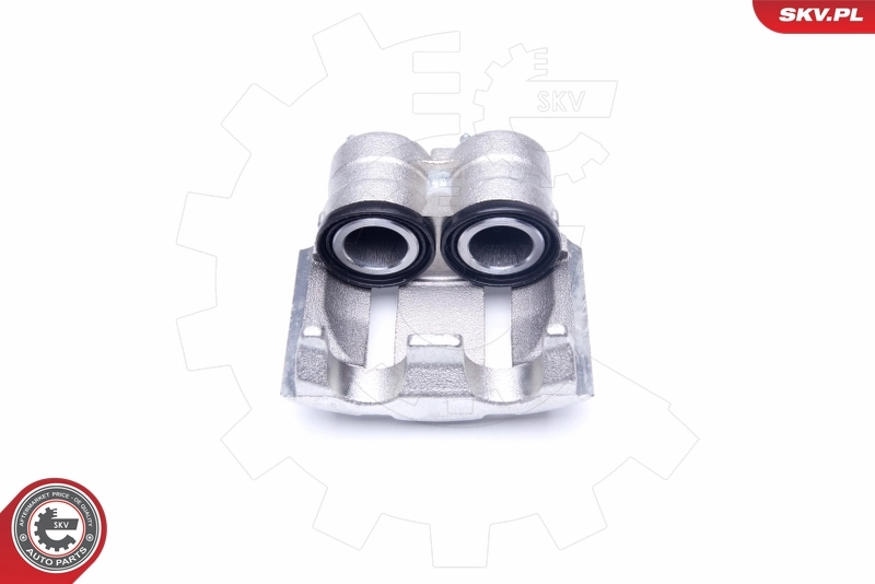 Brake Caliper 42SKV122