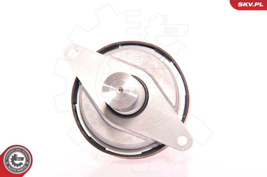 EGR Valve 14SKV023