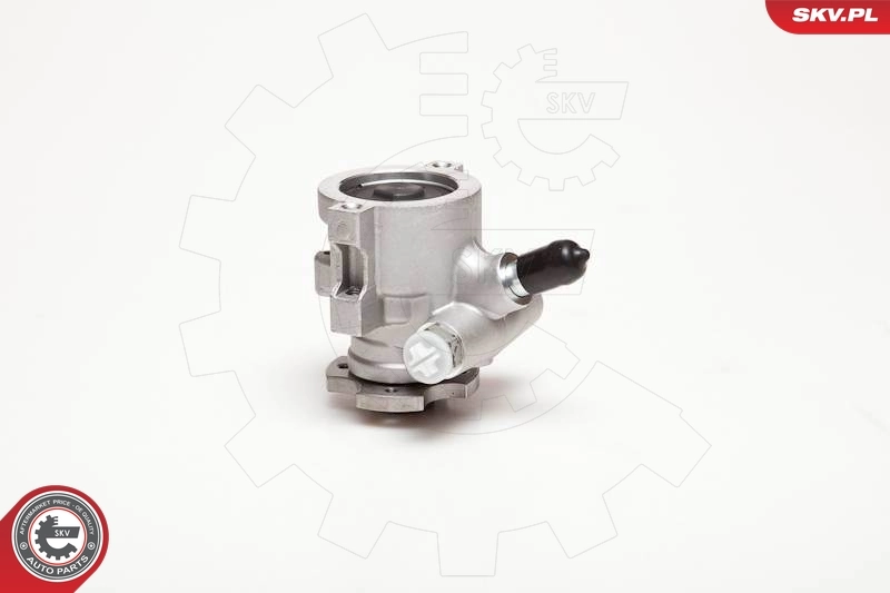 Hydraulic Pump, steering 10SKV178