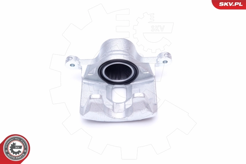 Brake Caliper 42SKV692