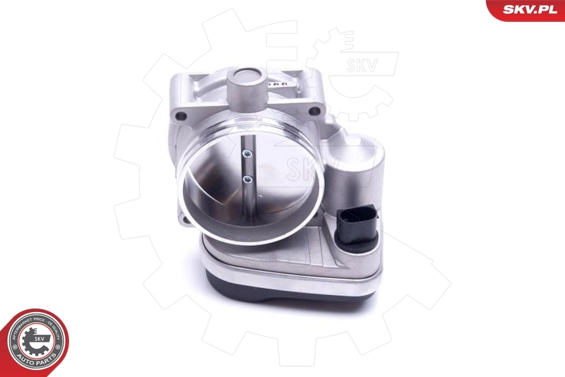 Throttle Body 12SKV121