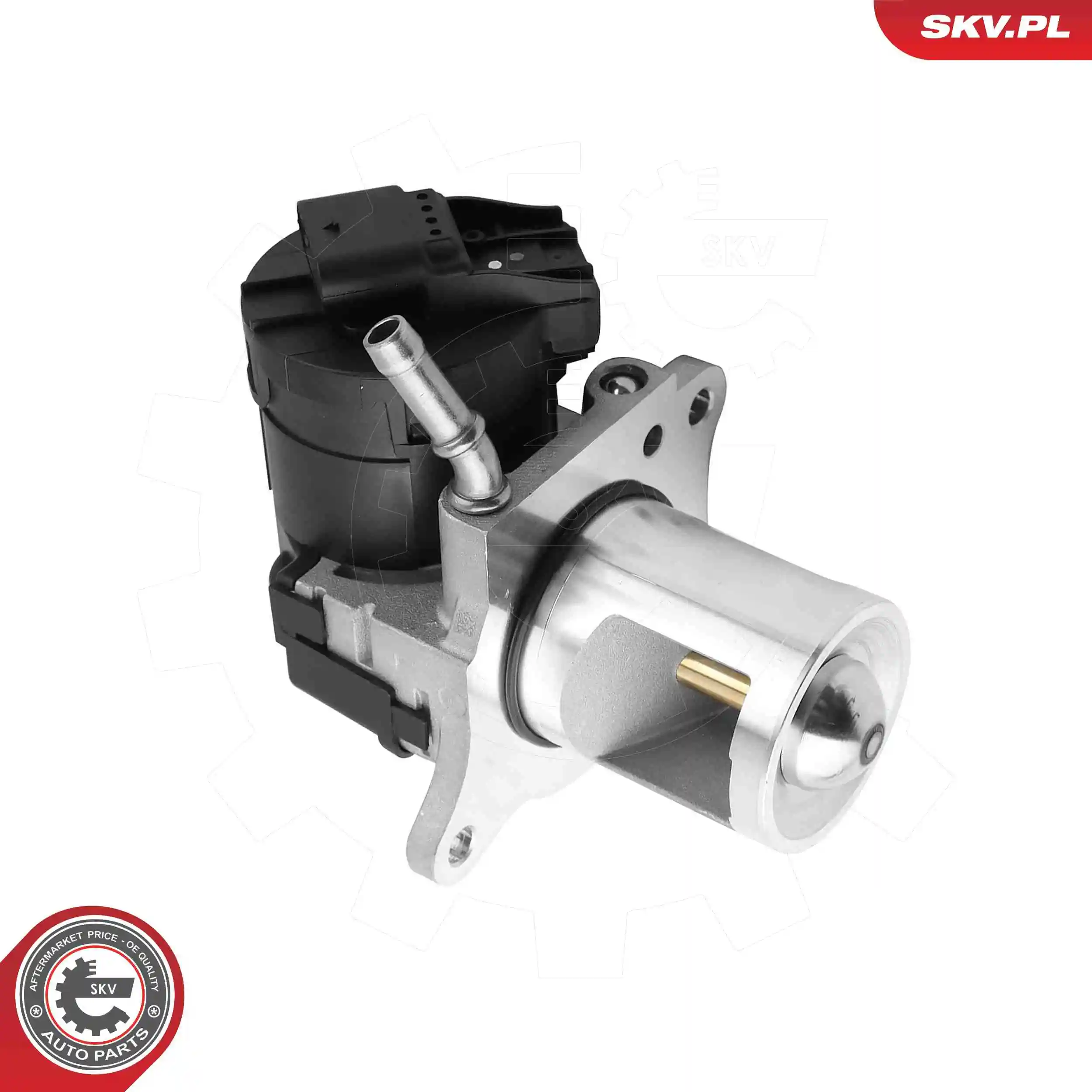 EGR Valve 14SKV325