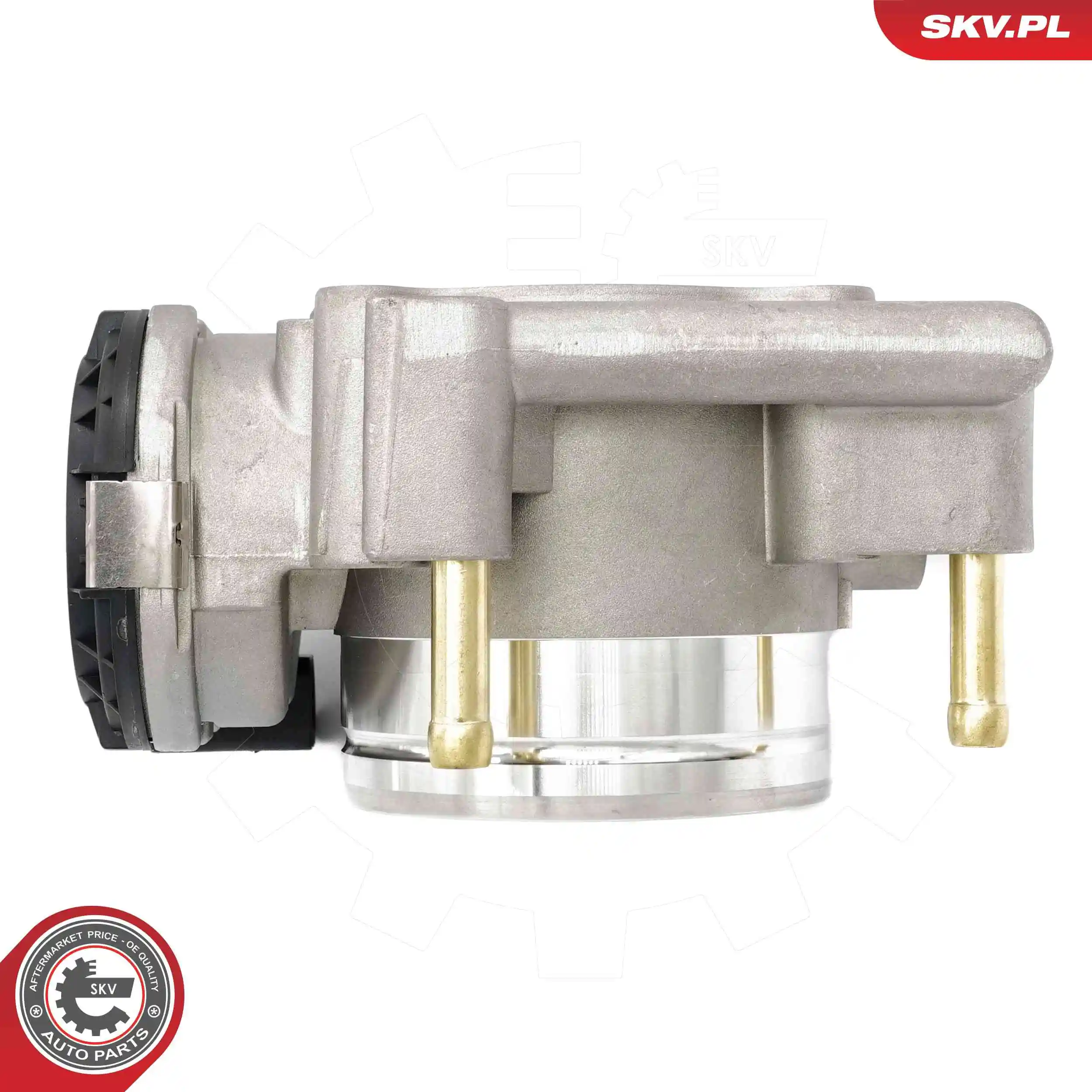 ESEN SKV 12SKV131 Throttle Body