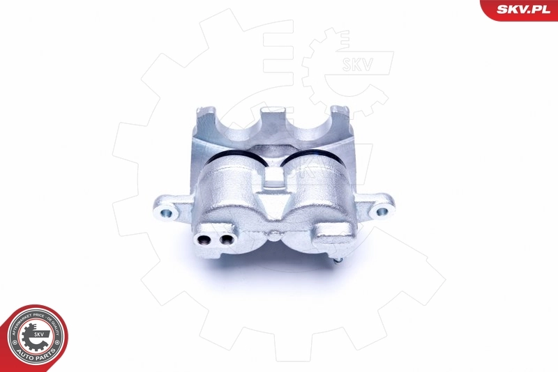 Brake Caliper 42SKV932