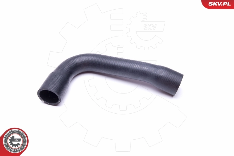 Radiator Hose 43SKV862
