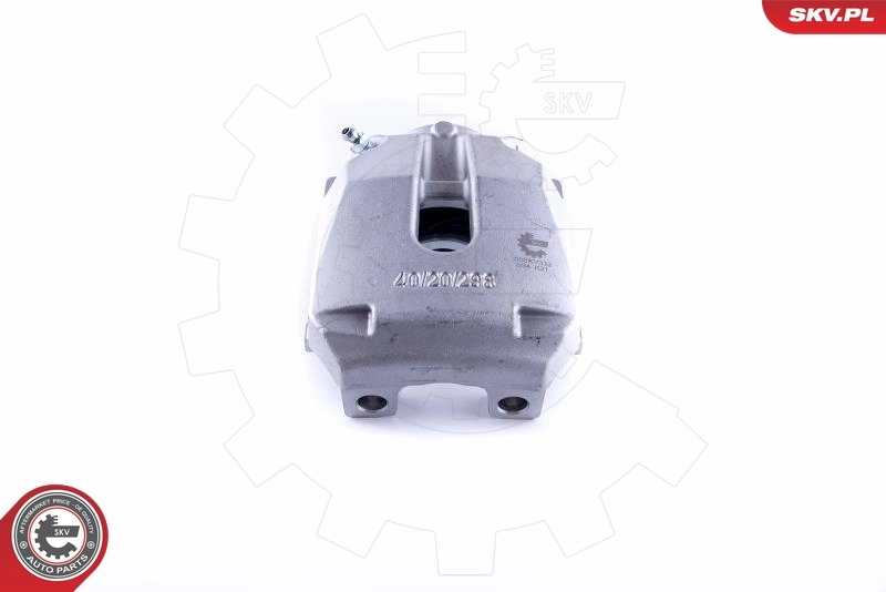 Brake Caliper 55SKV333