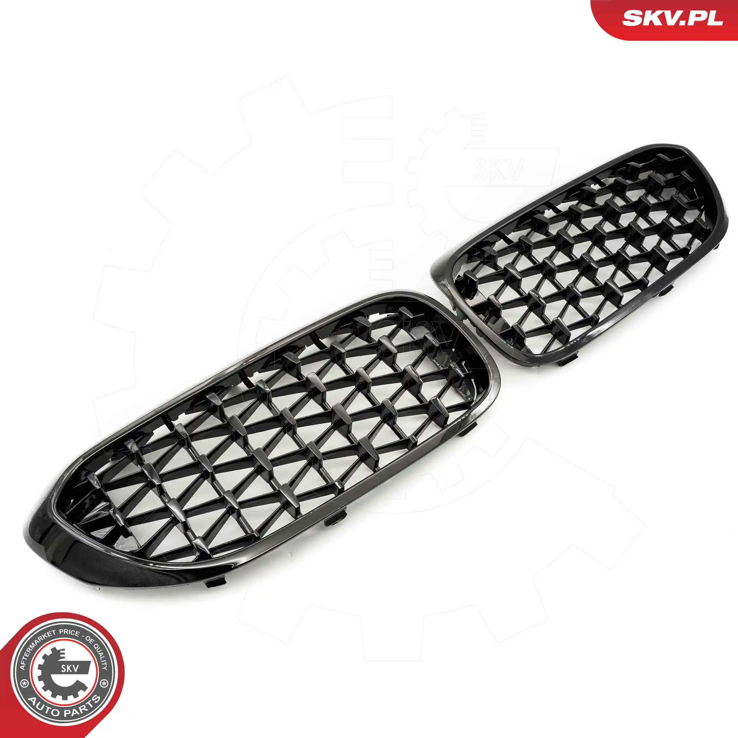 ESEN SKV 66SKV200 Radiator Grille
