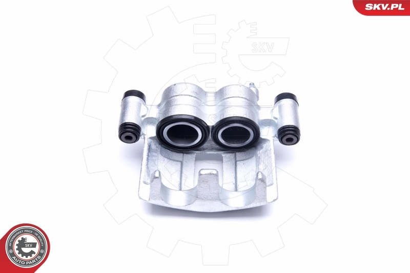 Brake Caliper 42SKV872