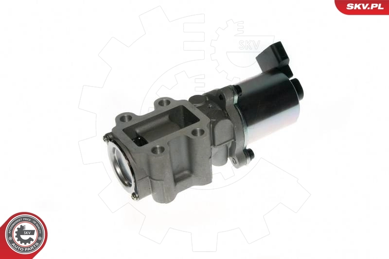 EGR Valve 14SKV088