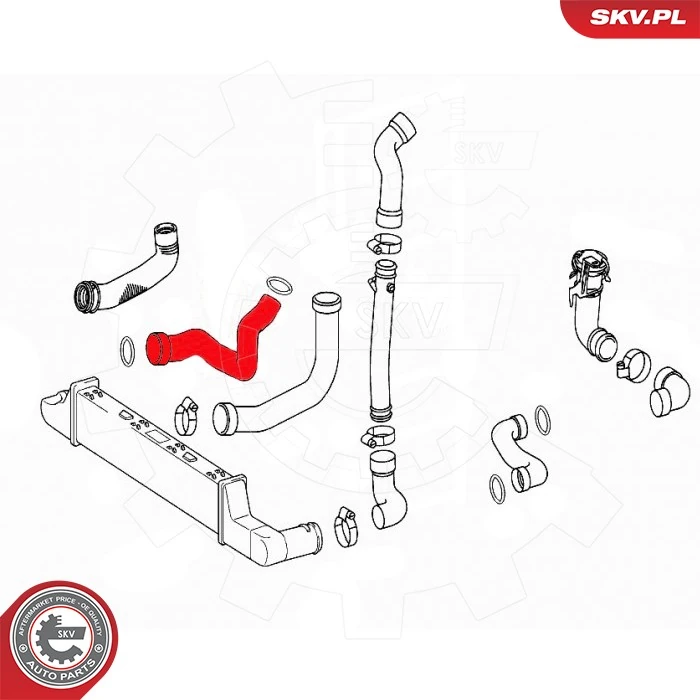 Charge Air Hose 43SKV434