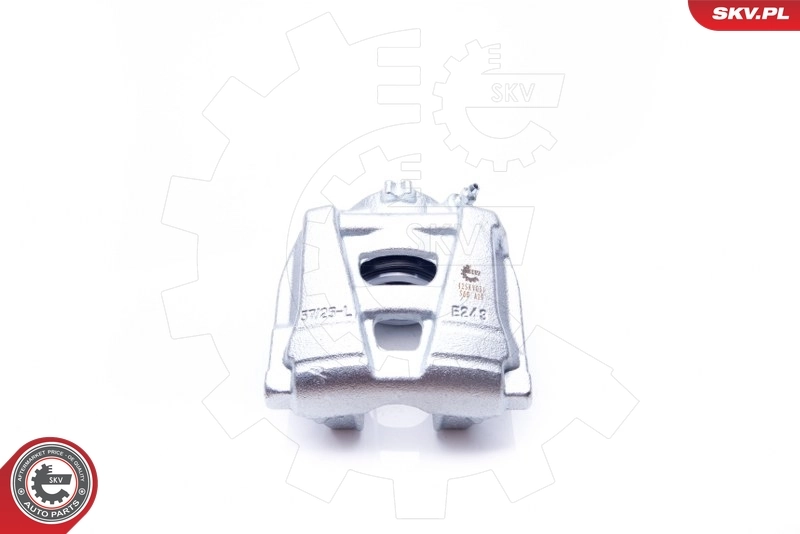 Brake Caliper 42SKV051