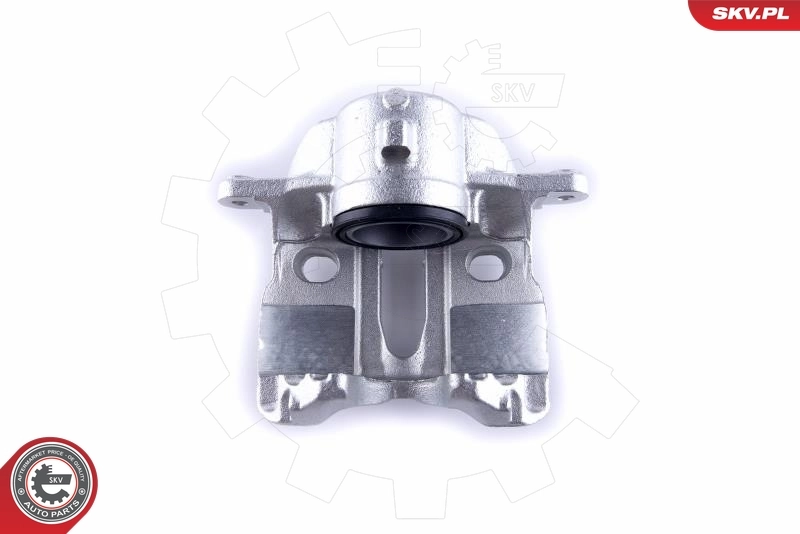 Brake Caliper 55SKV172