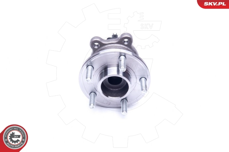 Wheel Bearing Kit 29SKV310