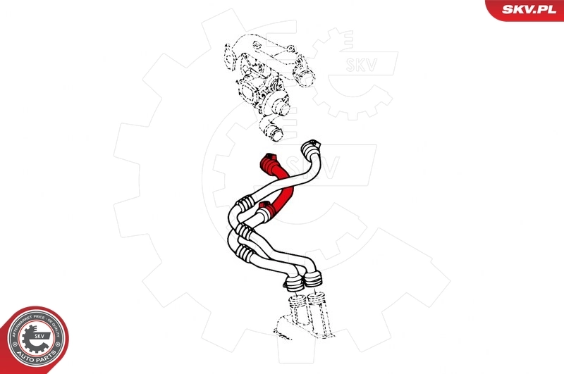 Charge Air Hose 43SKV039