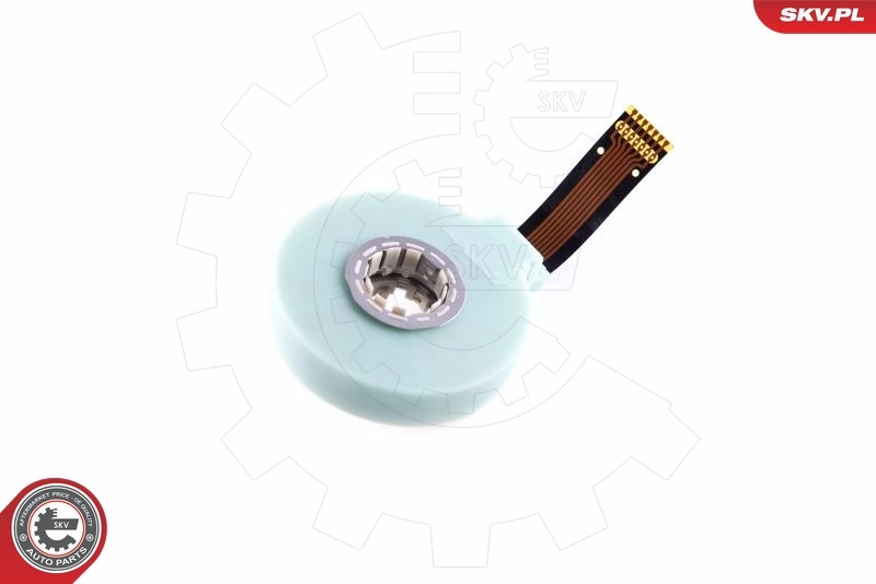Sensor Sudut Stereng 17SKV477