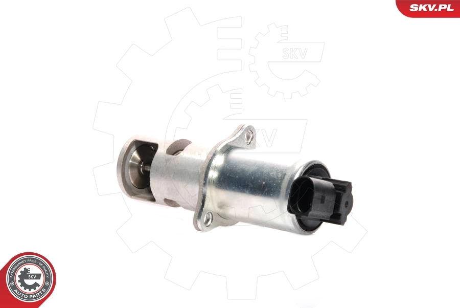 EGR Valve 14SKV021