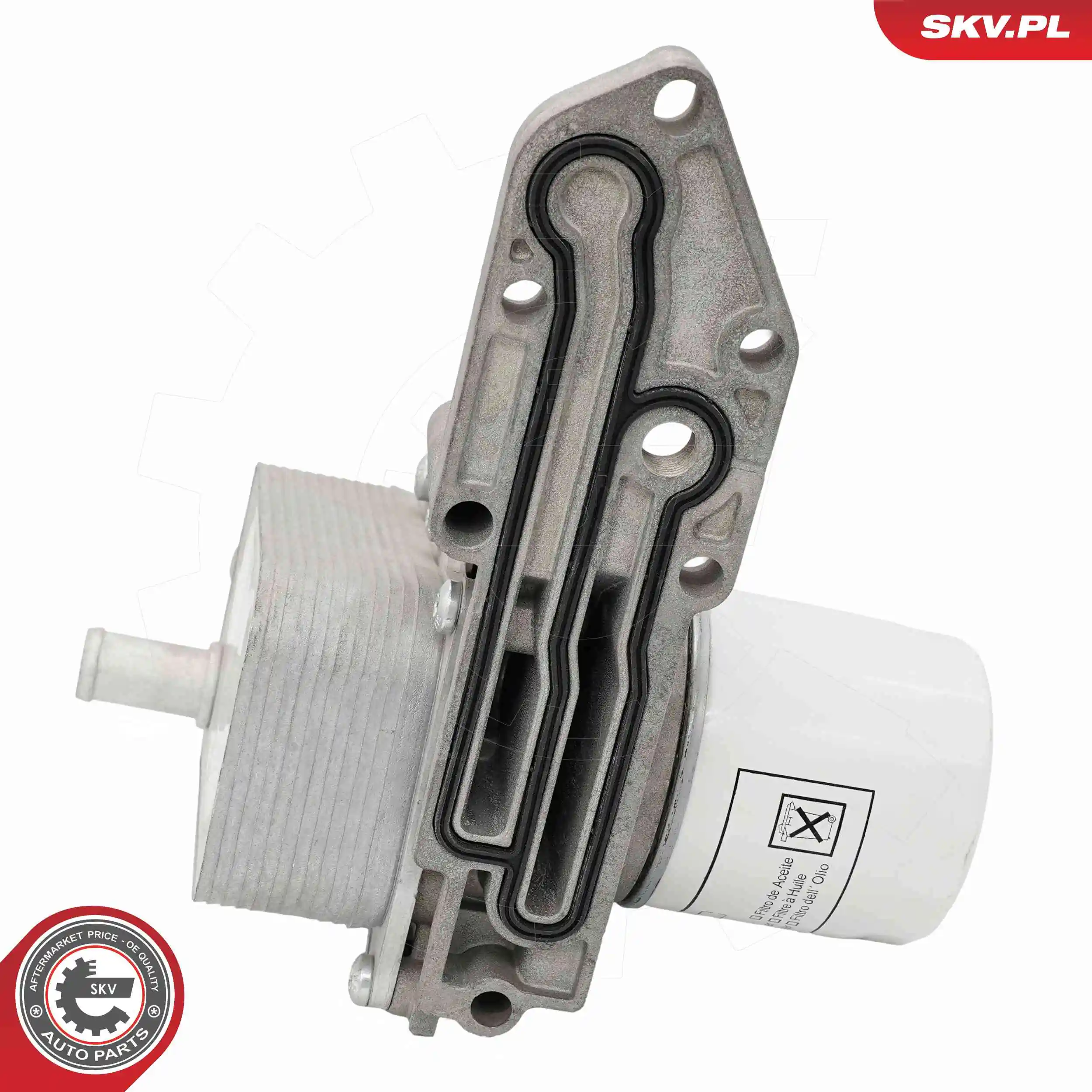 Oil Cooler, engine oil 31SKV340