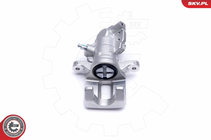 Brake Caliper 50SKV433