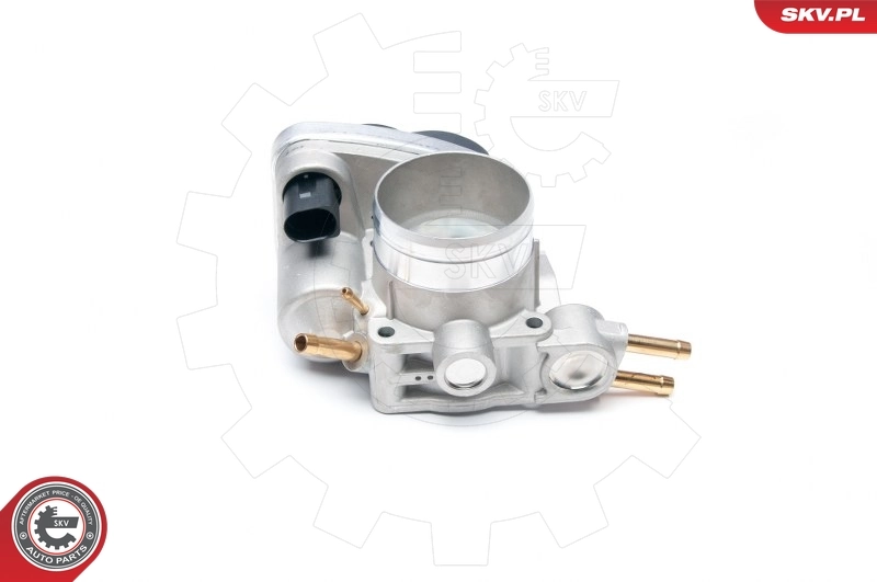 Throttle Body 12SKV048
