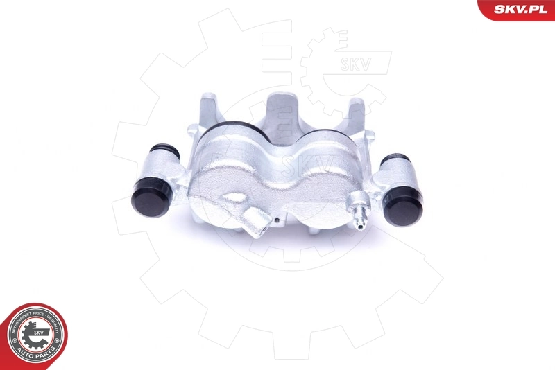 Brake Caliper 42SKV881