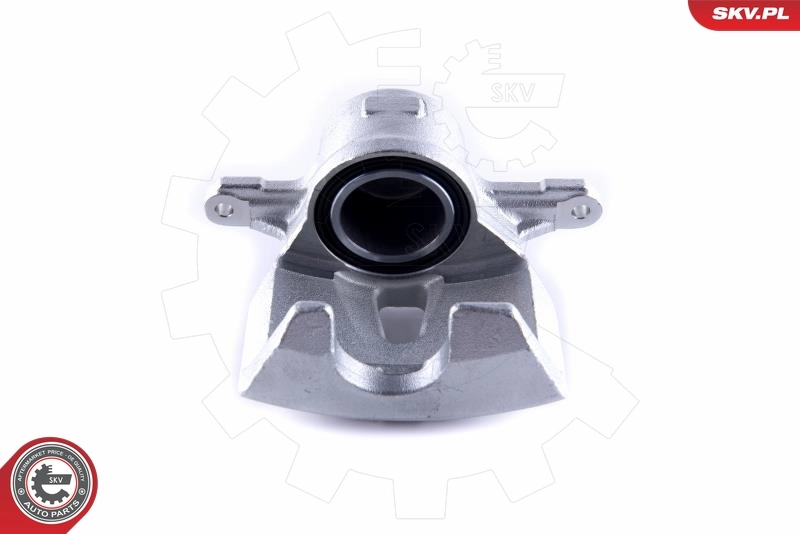 Brake Caliper 55SKV512