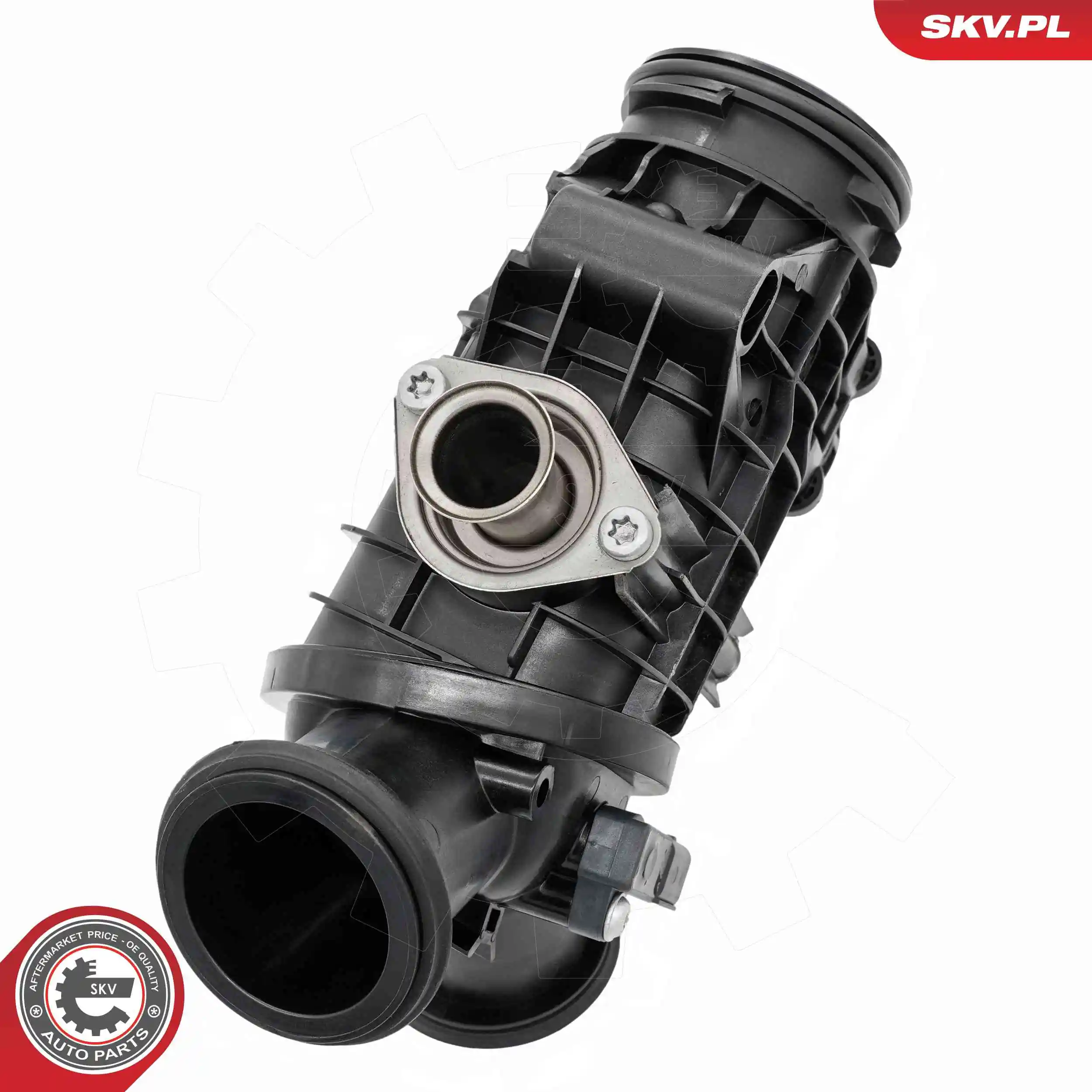 ESEN SKV 12SKV150 Throttle Body