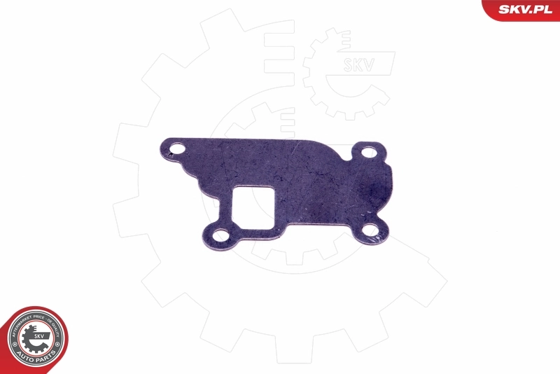 ESEN SKV 14SKV526 Repair Set, EGR valve